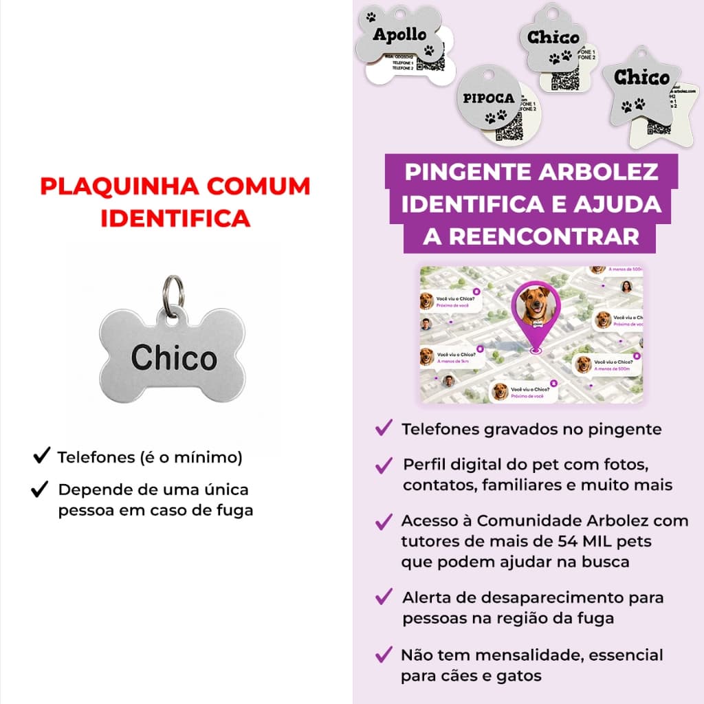 Placa de Identificação Pet Cachorro Gato Personalizada