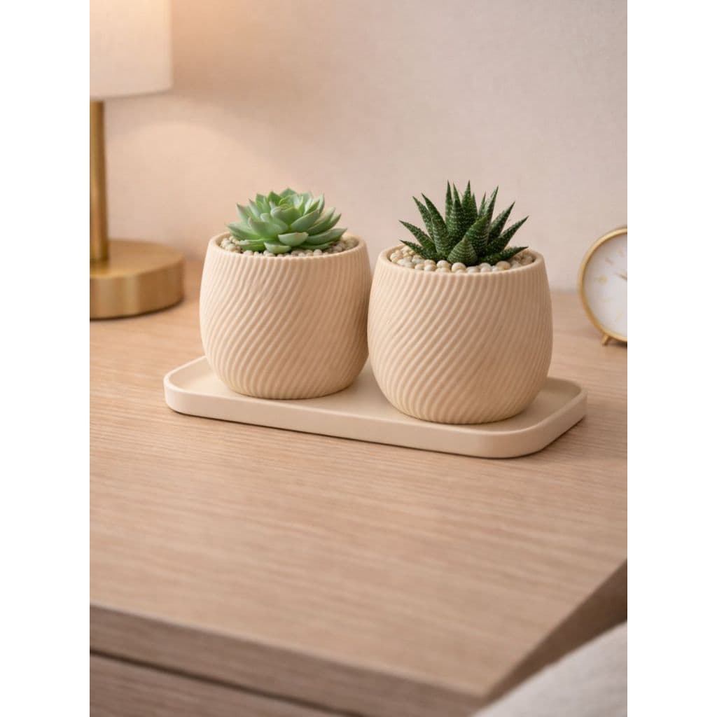 Kit Conjunto Vasos e Bandeja Decorativos para Pequenas Plantas e Suculentas Home Decore
