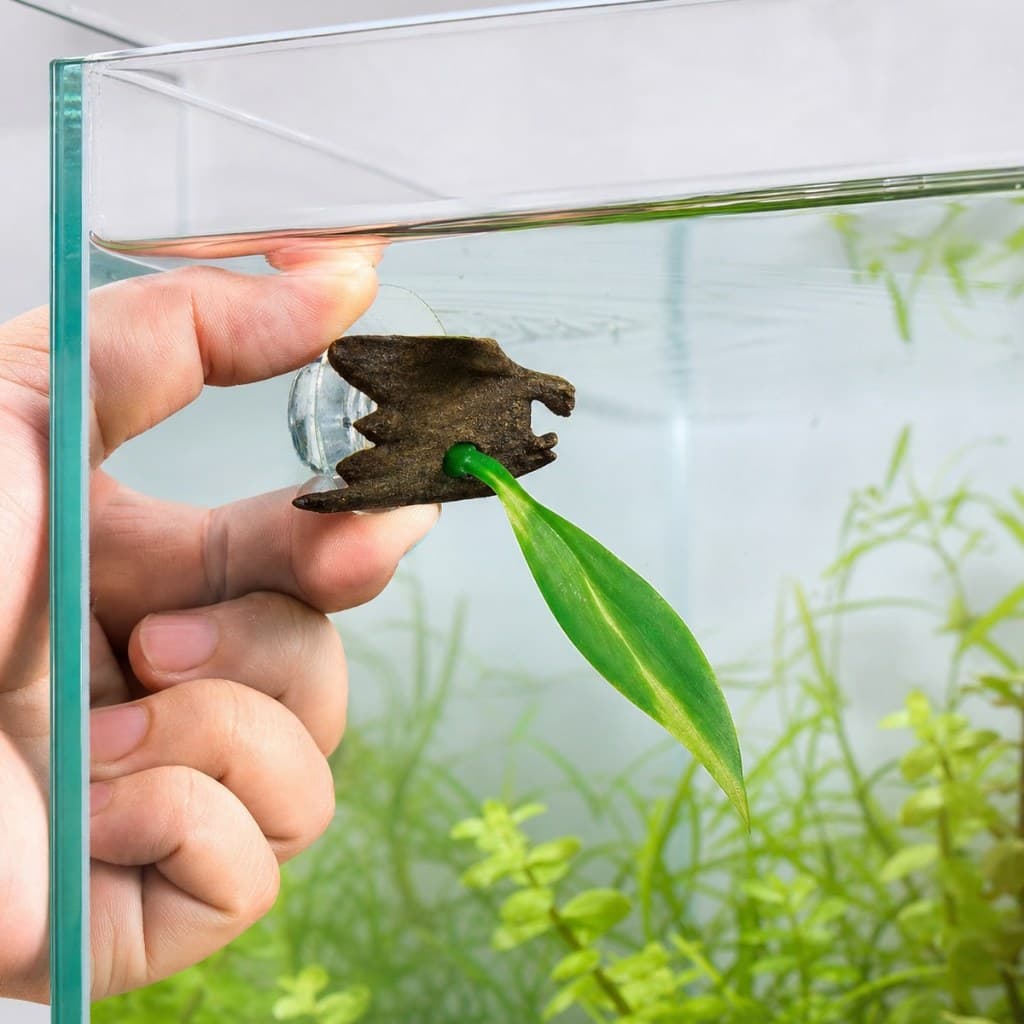 Soma Folha Plastica para Betta BLV-300 com Tronco e Ventosa 12cm