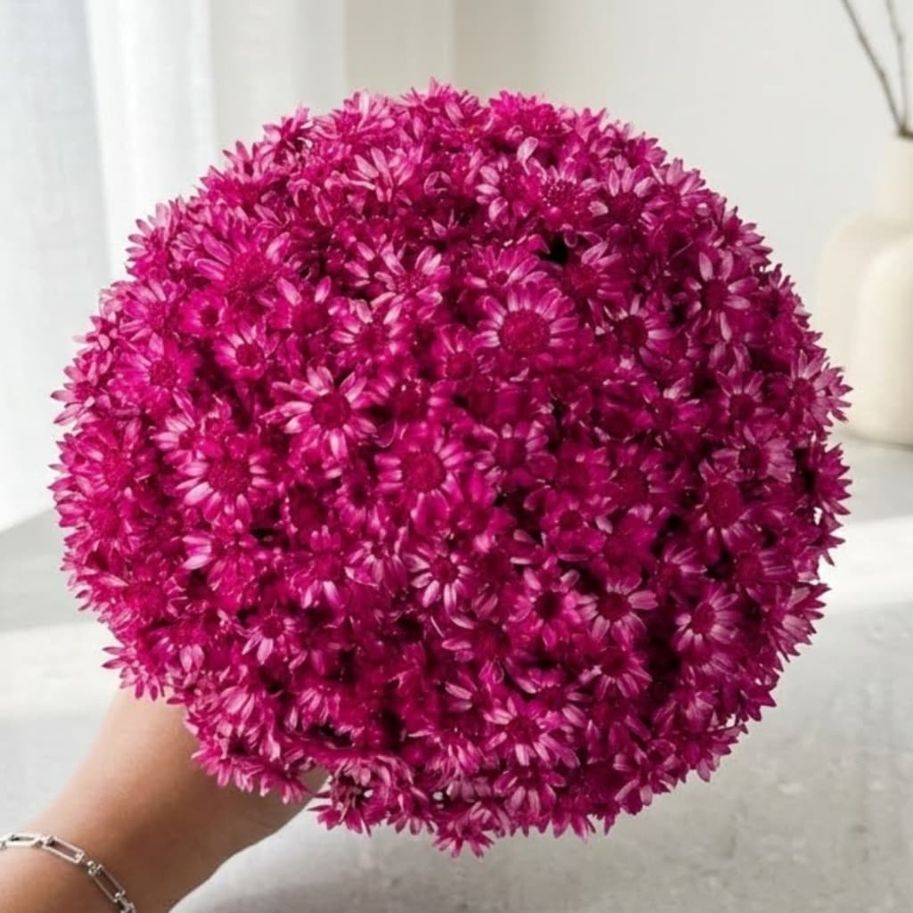 Flor Sempre Viva Pink Desidratada Buquê Aprox 200 Flores Decoração Festa Mesa Posta Arranjos