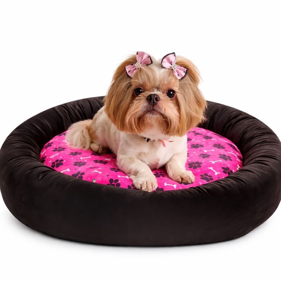 Cama Para Cachorro Super Confortável Tecido Velboa 60x60cm com Zíper Estampada