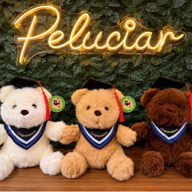 URSINHO URSO PELUCIA COM CAPELO 23CM LEMBRANÇA PRESENTE FORMATURA ESCOLA FACULDADE