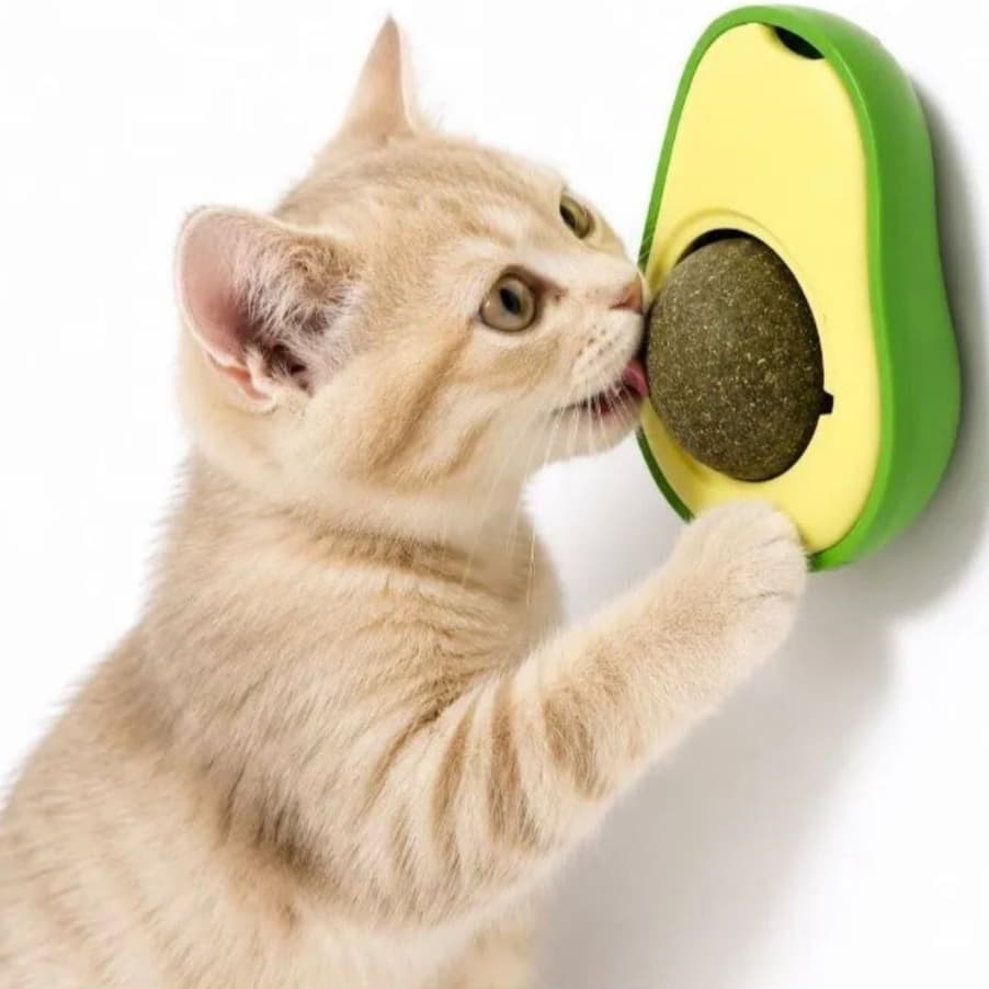 Brinquedo Interativo para Gatos Abacate com Catnip Erva do Gato Natura