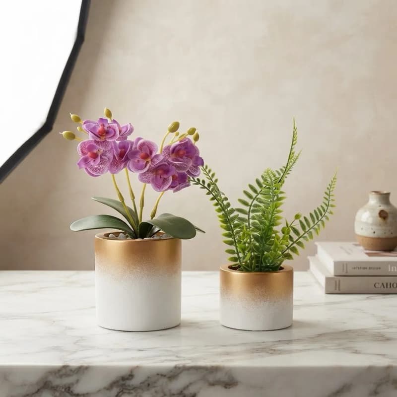 kit de mini orquídea e samambaia, vasos de gesso, plantas artificiais
