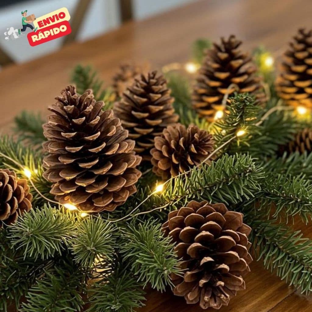 Kit 20 Pinhas Naturais Para Decoração de Natal Pendente Natalino 100% Natural