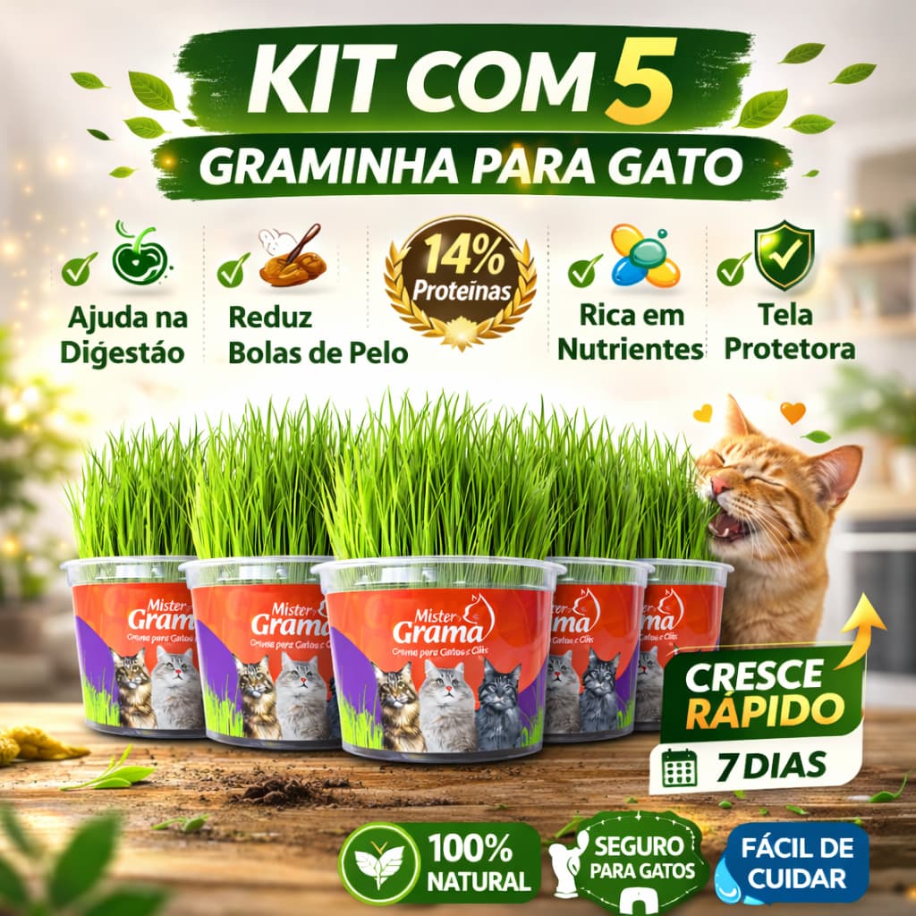 Grama Para Gato Mister C/ 5 Unidades – Auxilia na Digestão e Bola de Pelo / Fácil de Plantar
