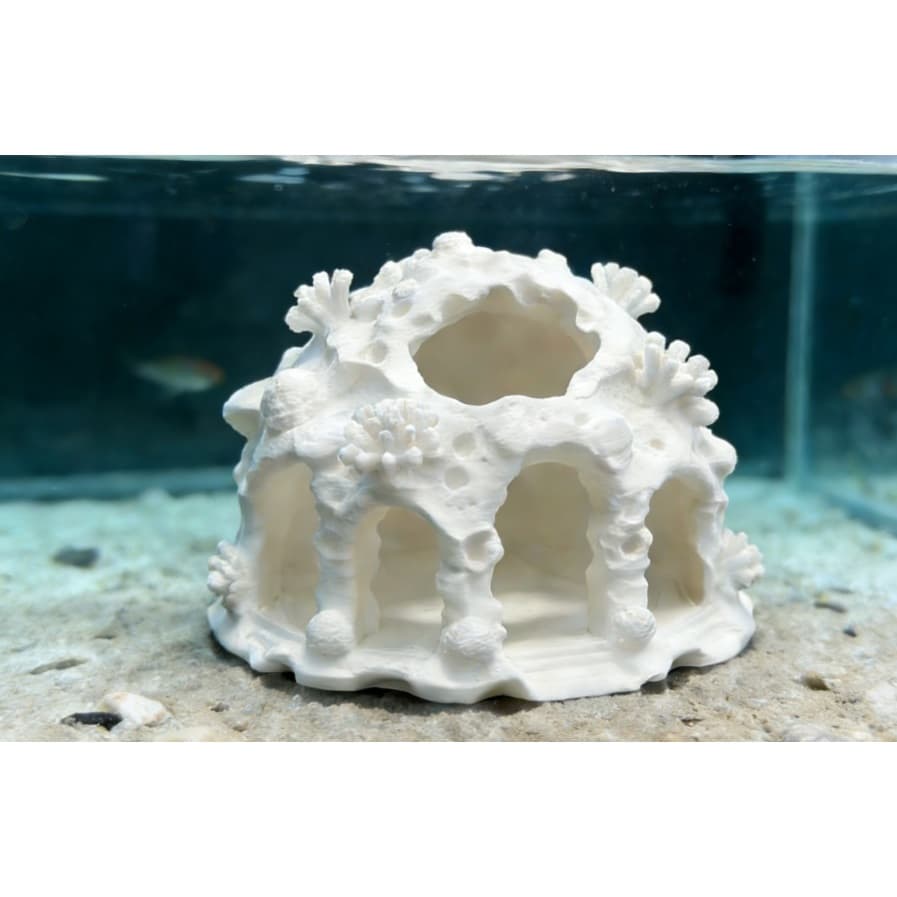 Decoração de Aquario Coral Peixe Pequeno Enfeite