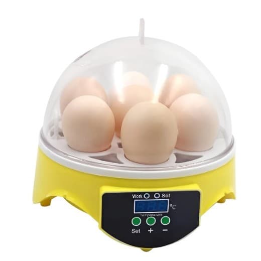 Mini Chocadeira Ovos Galinha Pato Semi Automática Incubadora