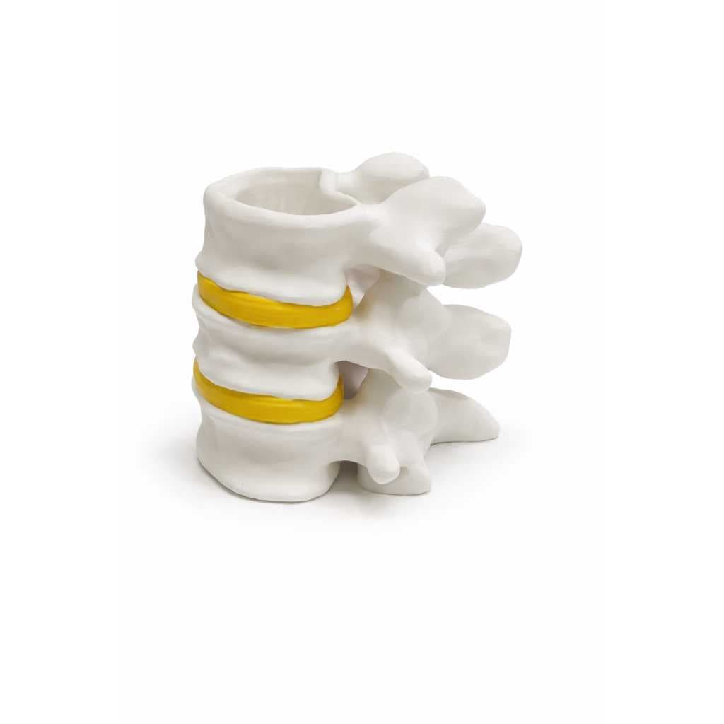 Porta Canetas Coluna Vertebral Decorativo e Funcional para consultórios médico, fisioterapia, quiropraxia e clínicas.