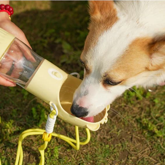 Comedouro e Bebedouro Portátil 2 em 1 Para Cães e Gatos – Garrafa de Água Pet p/ Passeios W28