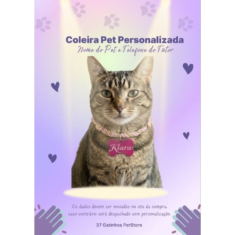 Coleira Gato Cachorro Pequeno Porte Trançada Ajustável com Nome do Pet Personalizada Plaquinha Colorida
