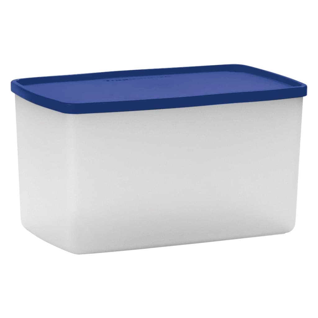 Tupperware Espaçosa 3 litros Azul Translúcida
