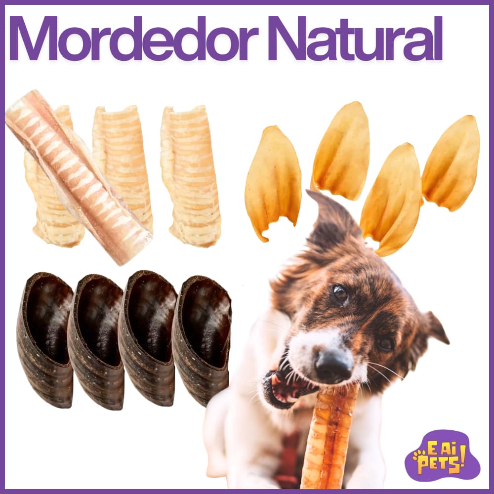 Mordedor Natural Para Cães Casco Bovino Traqueia Bovina Orelha Bovina Desidratados Sortidos