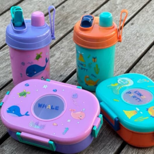 Marmita Lancheira Infantil Escolar Creche Com Divisorias Kit Lanche com Talher e Copo