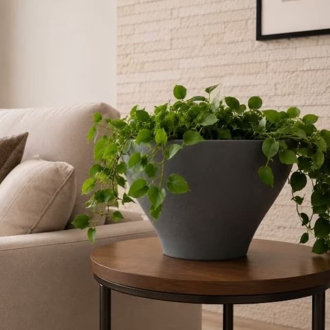 VASO PARA PLANTAS XANGAI VASO CHARMOSO (COM PRATO COLETOR) N°1 23X35X16