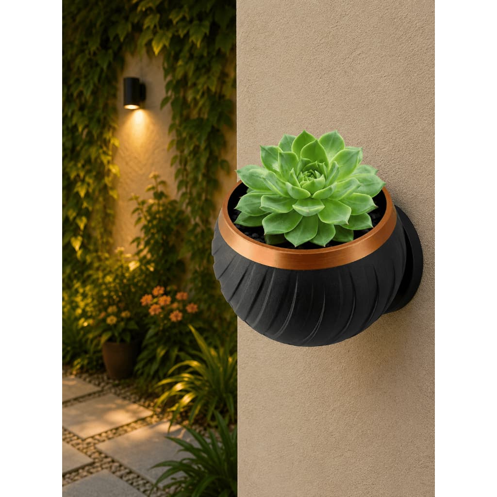 Vaso de Plantas com Suporte de Parede - Vaso de Suculenta