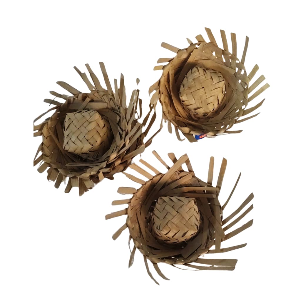Mini Chapéu de Palha  - Ideal para Festas Juninas e Decoração - kit com 5