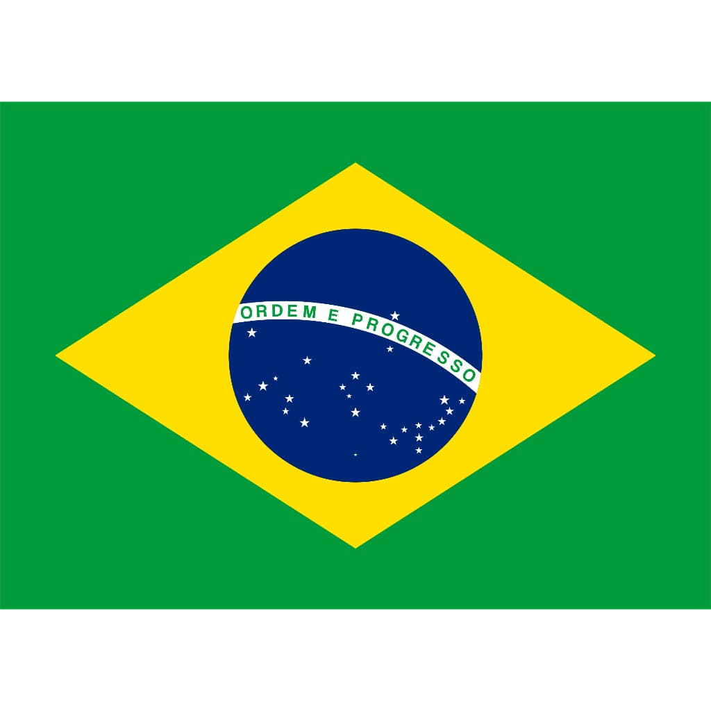 Adesivo Bandeira do Brasil 24x17cm Vinil Premium Copa do Mundo Carro Moto Caminhão