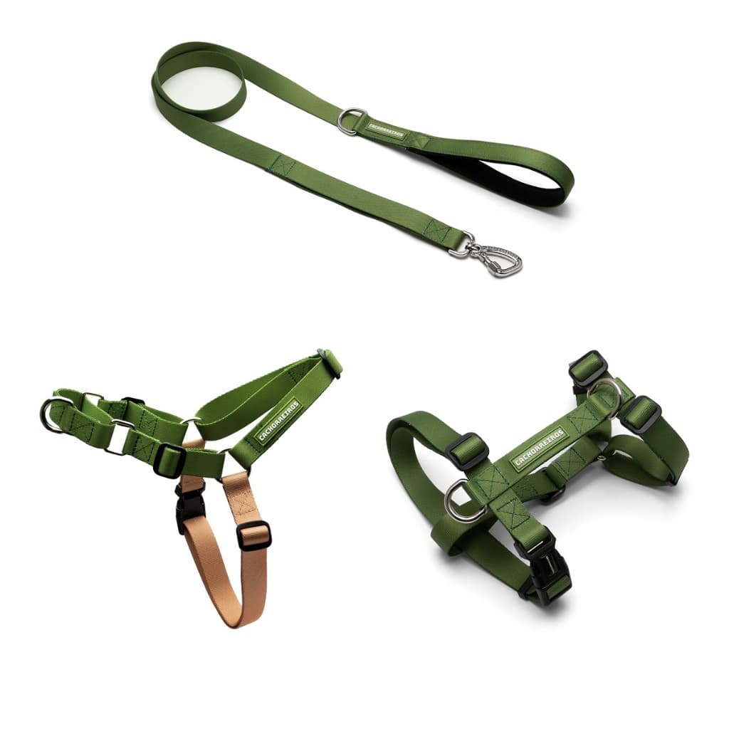 Kit Passeio Cachorro 3 Peças Peitoral Anti Puxão H Guia Cachorreiros P/M