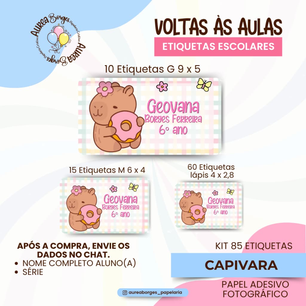 Kit 85 Etiquetas Escolares Personalizadas Capivara Adesivos Fotográfico Volta às Aulas Lapis Livros