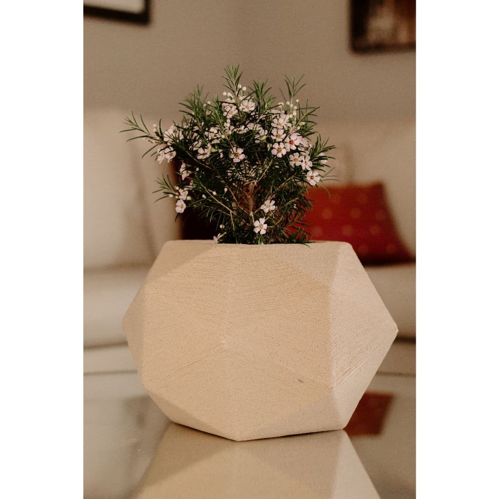 Vaso Para Plantas Decorativo Polietileno Moderno Esfera