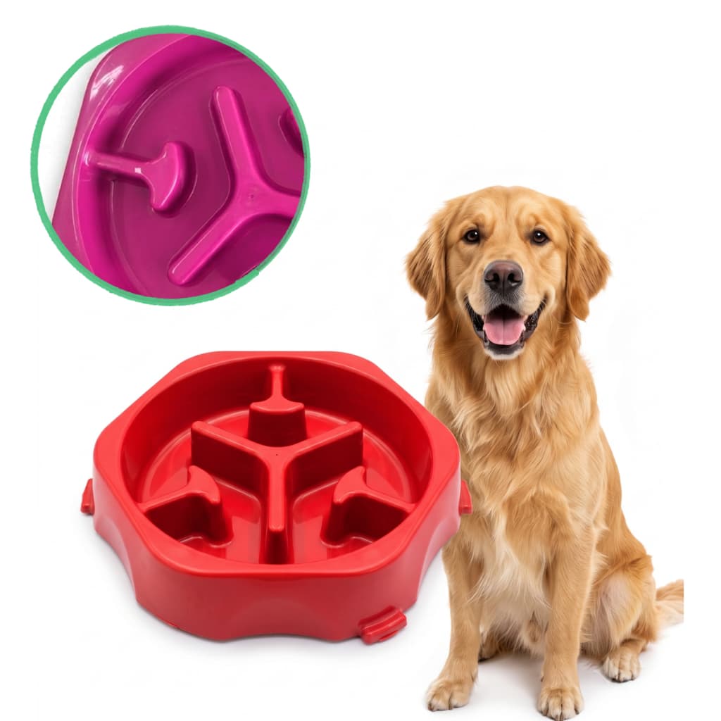 Comedouro Lento Antigula Pet Cachorro Gato Tigela Interativa Ração Anti Engasgo