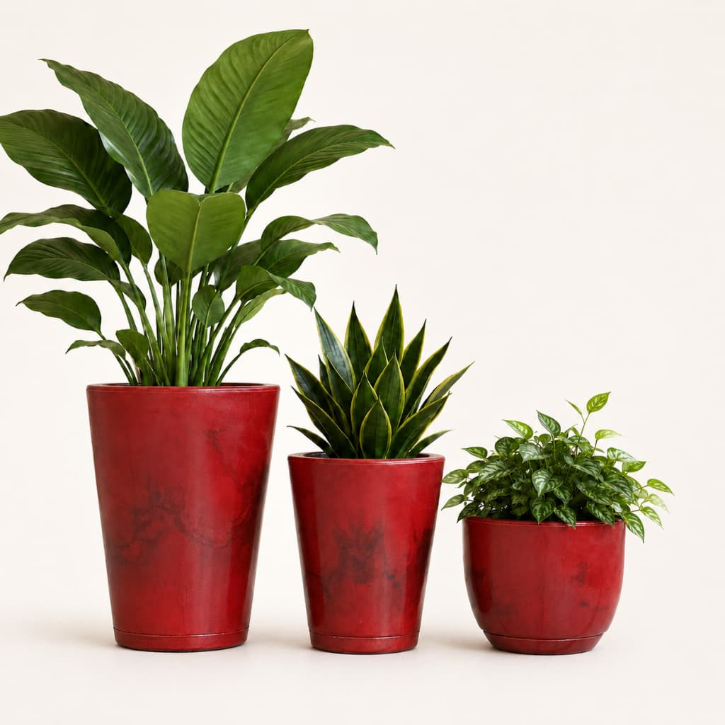Kit Jogo 3 Vasos de Plantas Grande Colunas Bojo Liso Polido Estilo Vietnamita Marmorizado com Prato