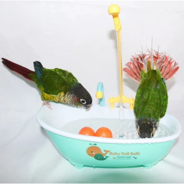 Banheira com Chuveirinho a Pilha – Diversão e Higiene para Calopsitas e Bonecas
