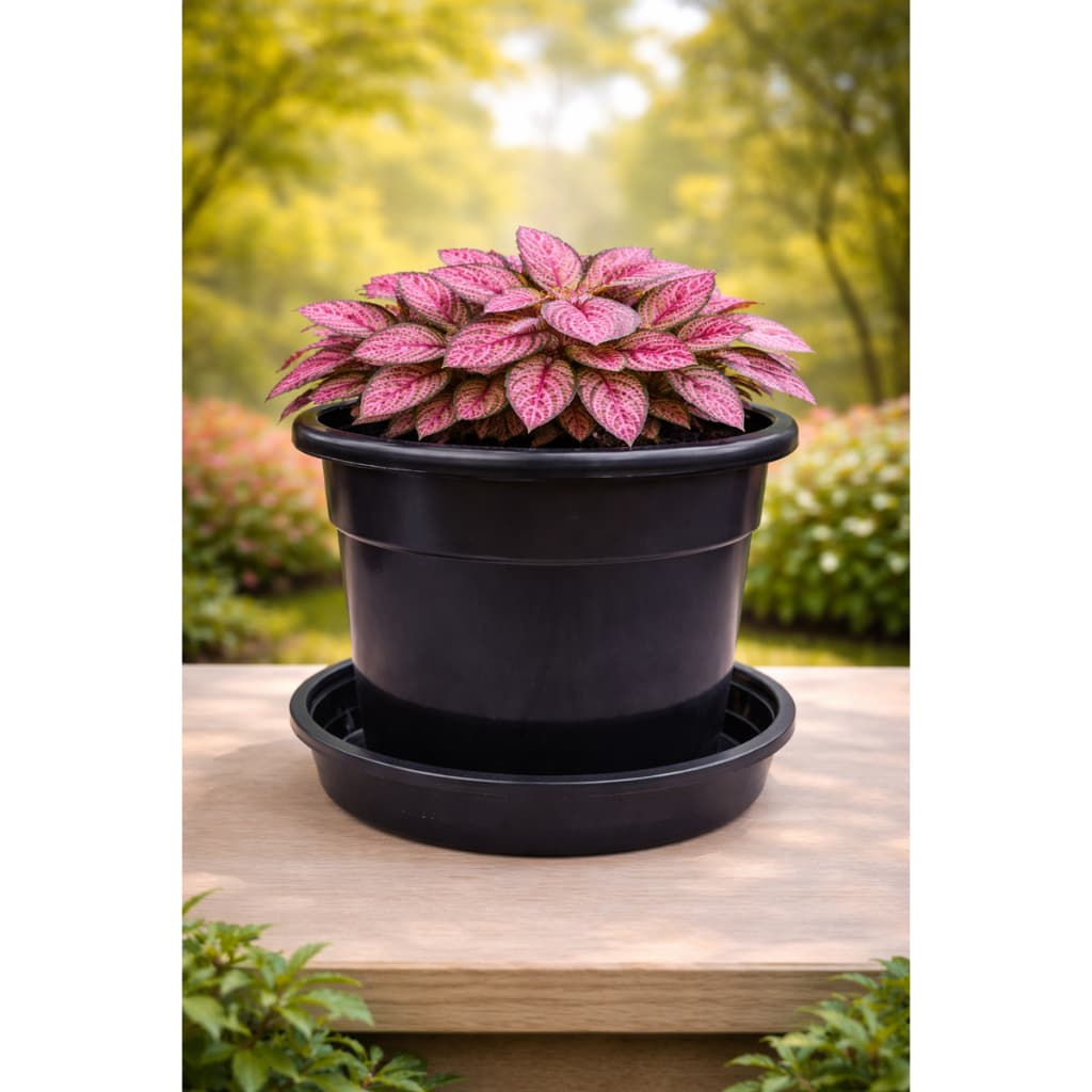 Kit 5 Vasos de Planta 5 Litros com Prato Para Plantas Cultivar Flores Jardim