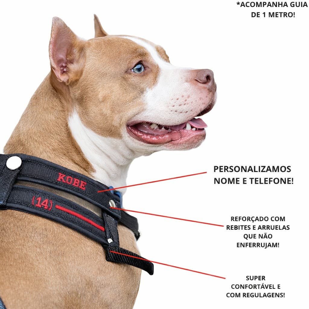 Cachorro coleira com nome e telefone vai com guia Husky Golden passeio confortável possui regulagens