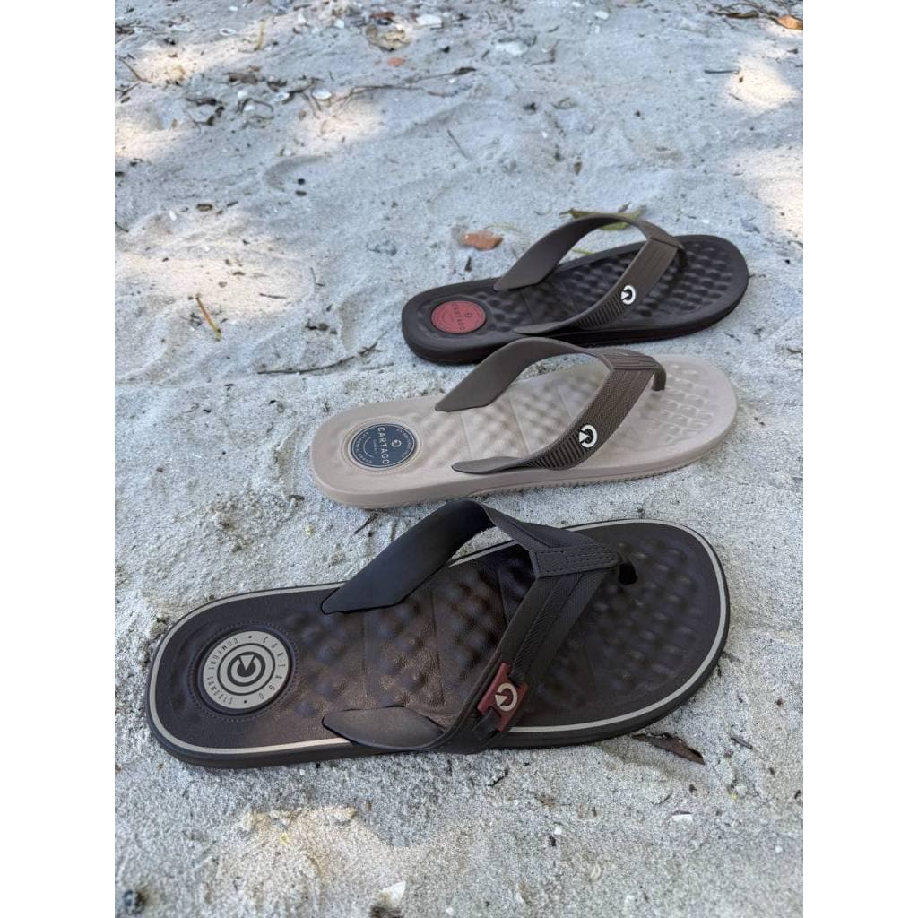 Chinelo Masculino Cartago Arizona Conforto Antiderrapante Original Grendene