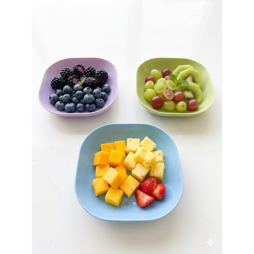Kit 10 Pratos Sustentáveis com Suporte, Plásticos Duros para Sobremesas, Sandwiches, Saladas