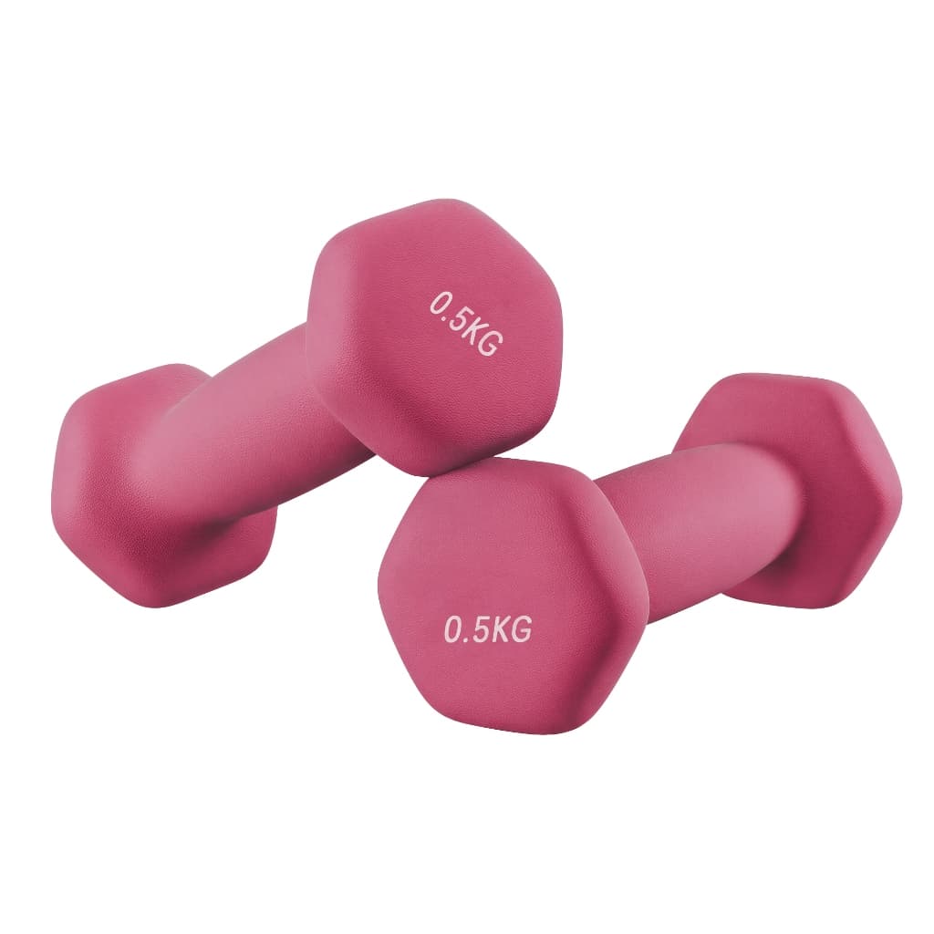 SONGMICS Par de Pesos Livres, Halteres Hexagonais com Revestimento de Neoprene, Exercícios em Casa, 2x0,5kg