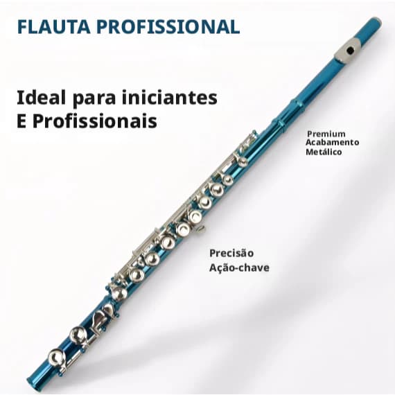 Flutes, Closed Hole C 16 Keys Flute Instrument, Student Flute for Beginner School Orchestra Band, with Cleaning Kit, Car