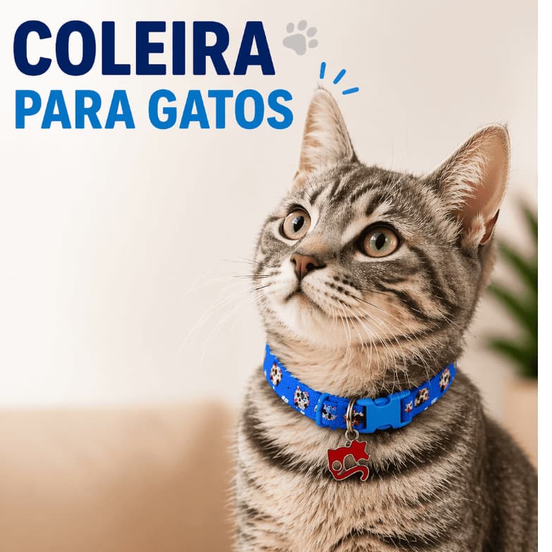 Kit Cartela Coleira Gatos 10 Unidades delicadas e duradouras