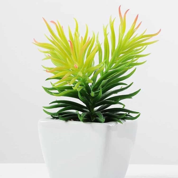 Suculenta Planta Artificial Para Decoração - LMM802251