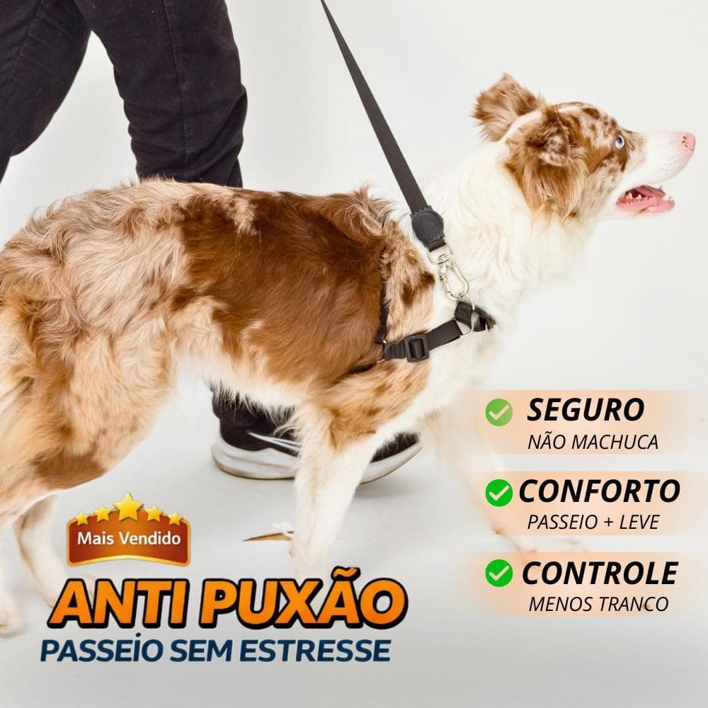 Kit adestramento Coleira e Guia Antipuxão Para Passeio Cachorro porte médio e grande