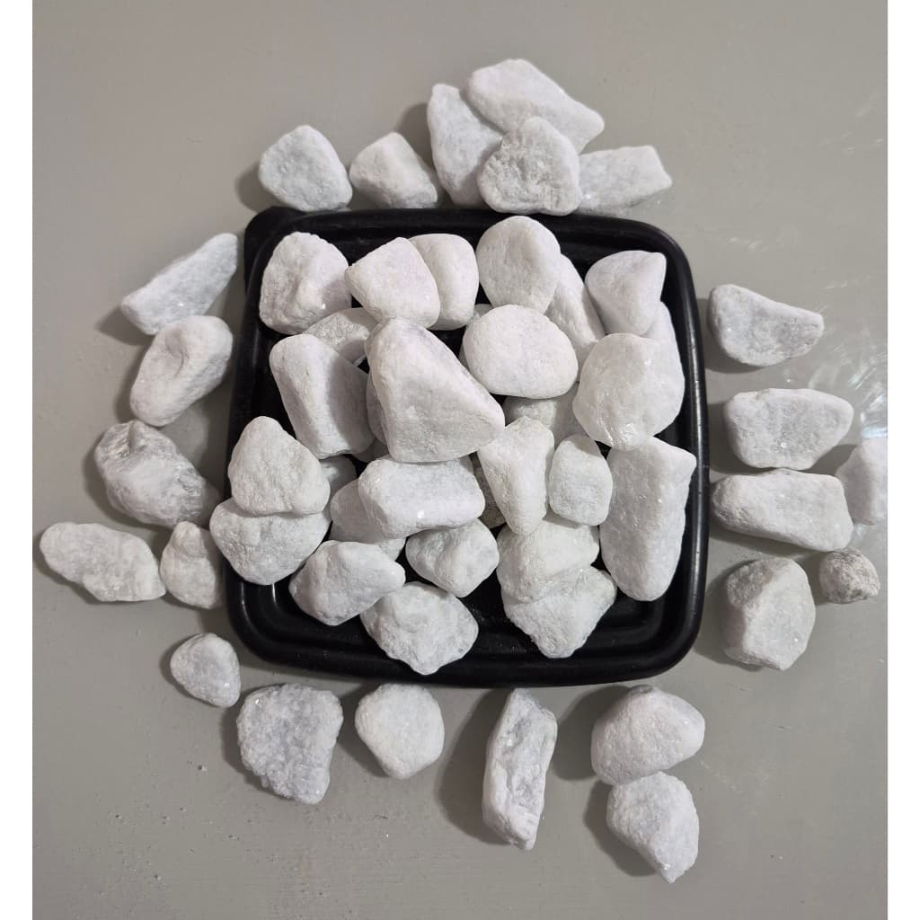 Pedra Seixo Branco Premium para Aquário, Vasos e Jardinagem