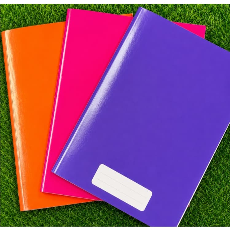 Kit 10 Cadernos GRANDE Jandaia Stiff 96 Folhas - Capa Dura Escolar CORES