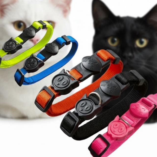 coleira para gato anti enforcamento com regulador de tamanho felinos porte pequeno ao grande