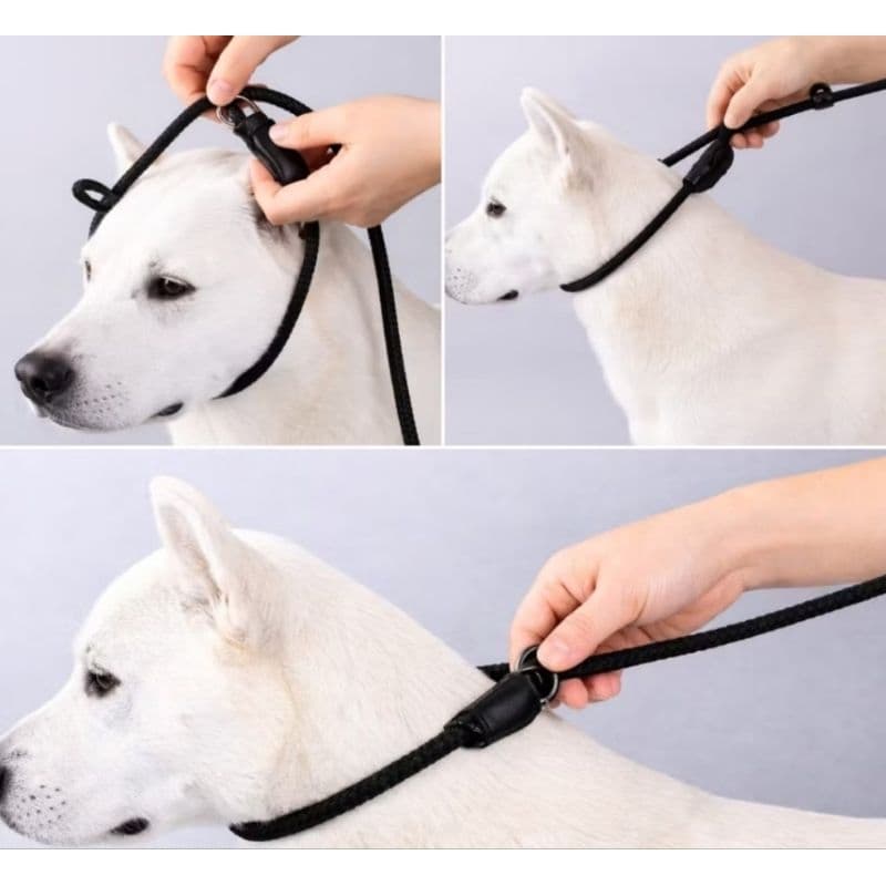 Coleira ajustável com guia deslizante guia unificada para cachorro pet