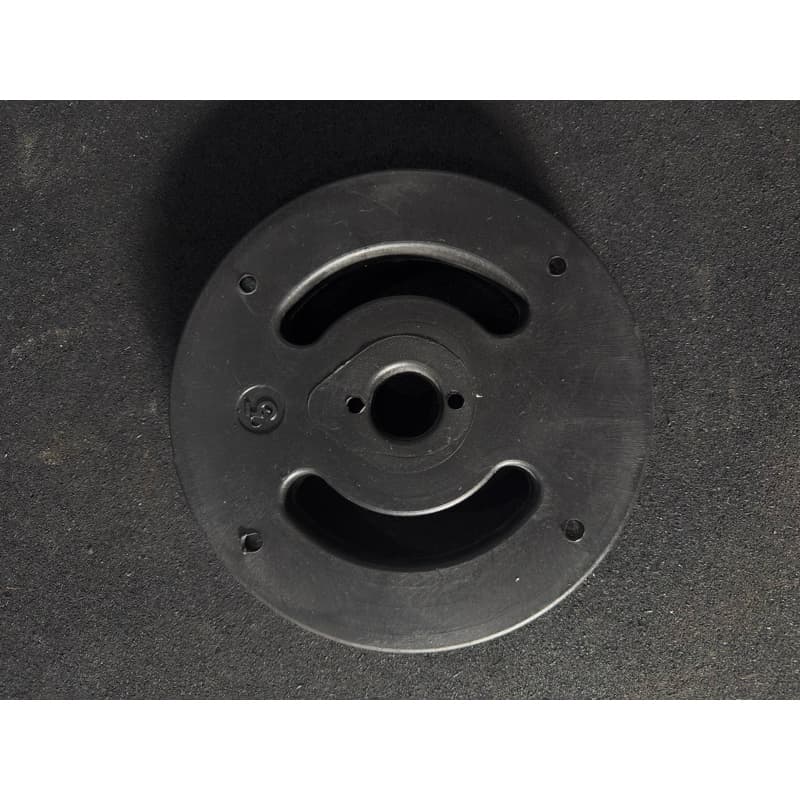 Par de Anilha Injetada de 10 kgs