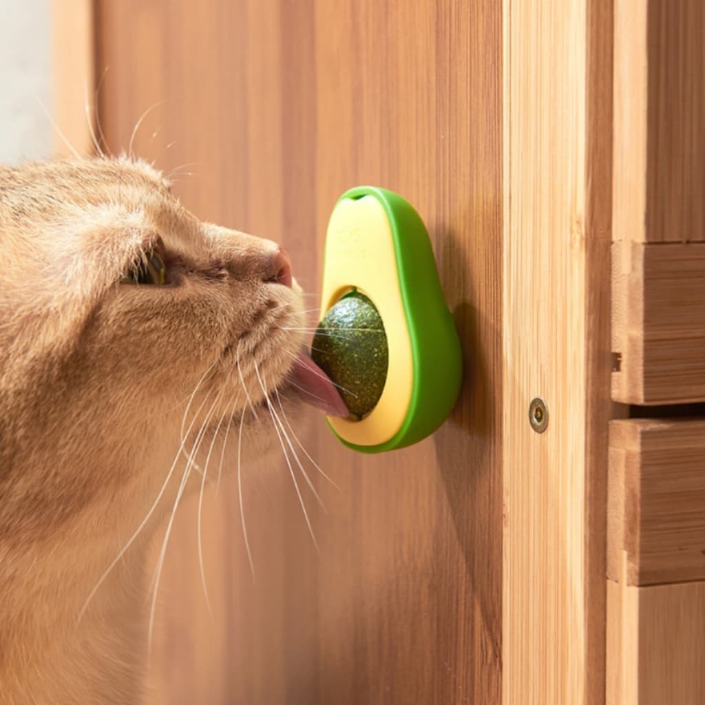 Abacate Catnip Interativo para Gatos
