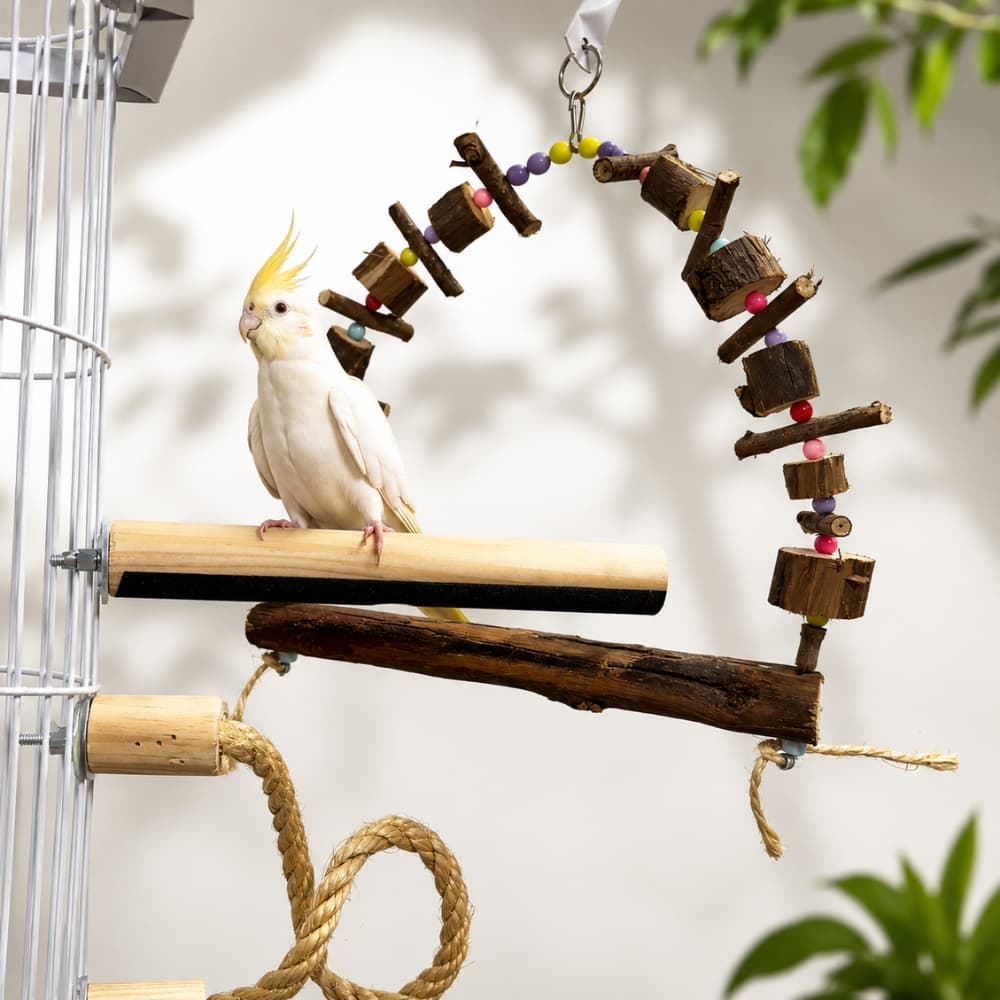 Poleiro Lixa G + Balanço G + Sisal 60 cm