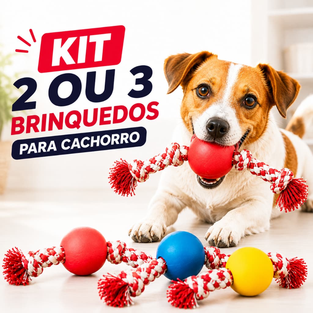 Kit Brinquedos para Cachorro Mordedor com Corda  Bolinha em Vinil