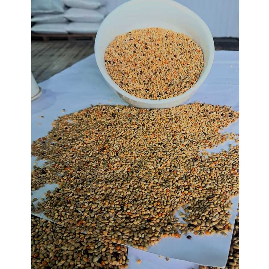 Raçao, Mistura para coleirinha Sementes selecionadas Passaro Nobre