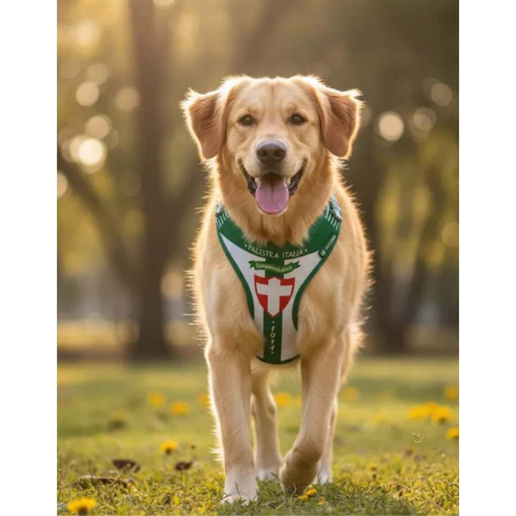 Peitoral Para Cachorro Palmeiras Historico Freefaro Pet Cachorro Ajustável