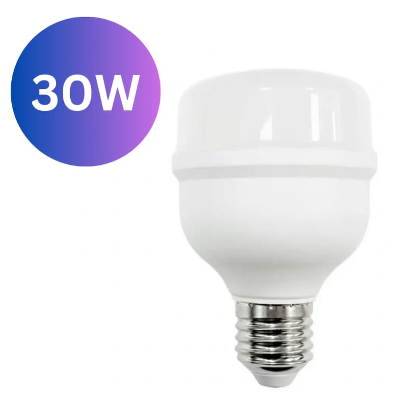 Lâmpada 30W Bulbo Led T70 Branco Frio  2400 Lumens IP20