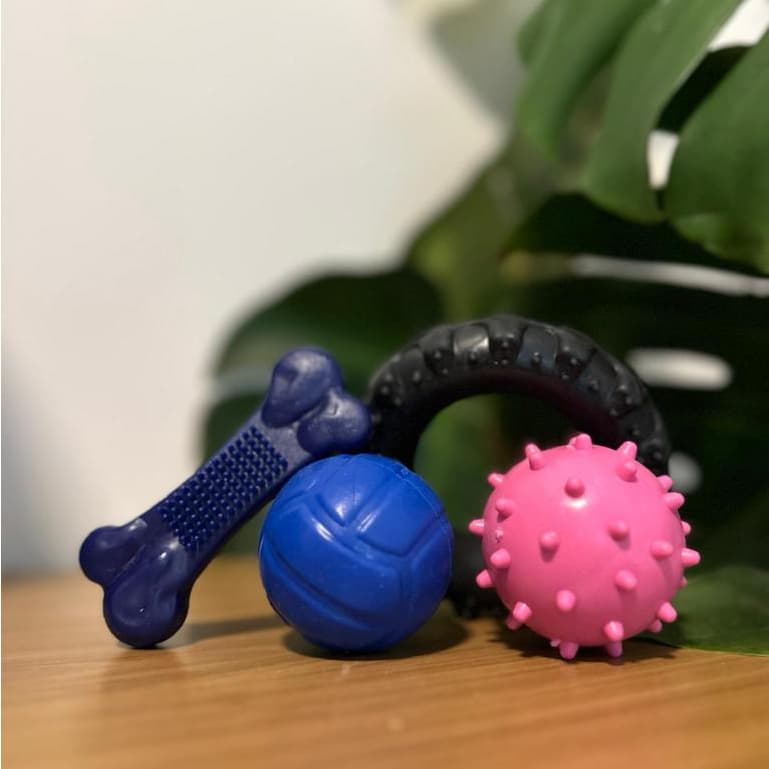 Kit de 4 brinquedos para cachorros de porte pequeno,Bolinhas,Mordedores Resistentes,Material Atóxico