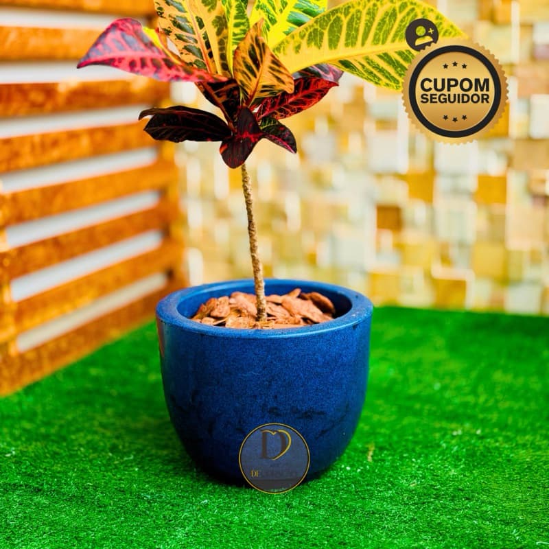 Vaso de Planta Decorativo Bojo Liso 20cm com Prato Polietileno PP para Sala, Jardim e Varanda